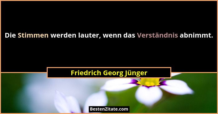 Die Stimmen werden lauter, wenn das Verständnis abnimmt.... - Friedrich Georg Jünger