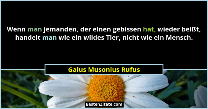 Wenn man jemanden, der einen gebissen hat, wieder beißt, handelt man wie ein wildes Tier, nicht wie ein Mensch.... - Gaius Musonius Rufus