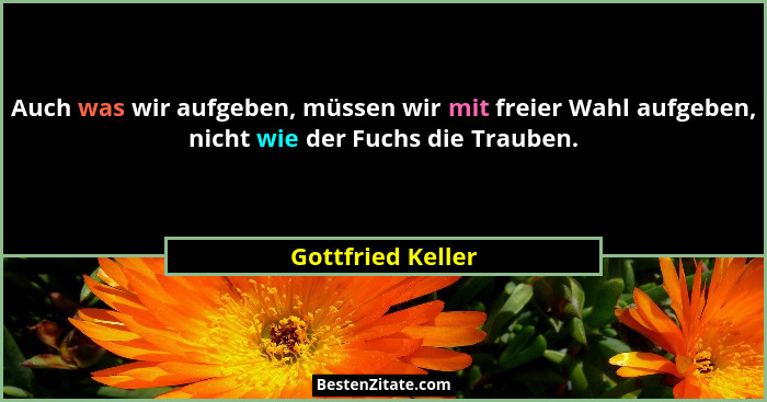 Auch was wir aufgeben, müssen wir mit freier Wahl aufgeben, nicht wie der Fuchs die Trauben.... - Gottfried Keller