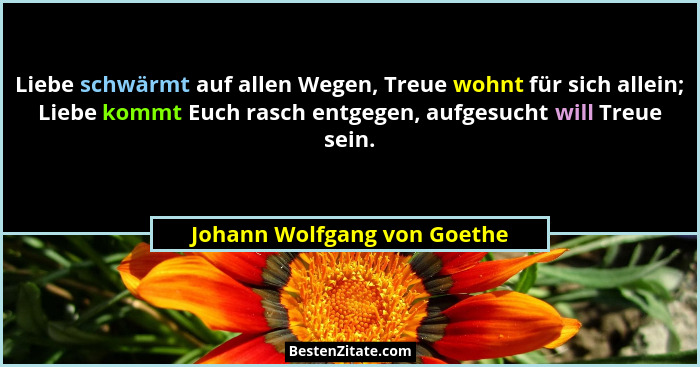 Liebe schwärmt auf allen Wegen, Treue wohnt für sich allein; Liebe kommt Euch rasch entgegen, aufgesucht will Treue sein.... - Johann Wolfgang von Goethe
