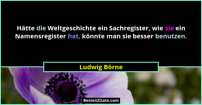 Hätte die Weltgeschichte ein Sachregister, wie sie ein Namensregister hat, könnte man sie besser benutzen.... - Ludwig Börne