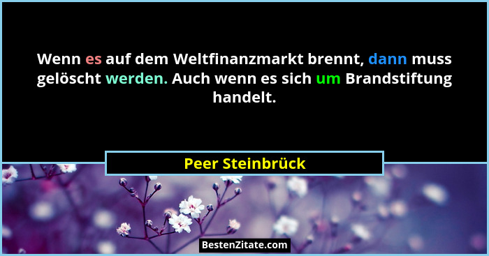 Wenn es auf dem Weltfinanzmarkt brennt, dann muss gelöscht werden. Auch wenn es sich um Brandstiftung handelt.... - Peer Steinbrück