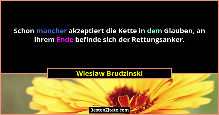 Schon mancher akzeptiert die Kette in dem Glauben, an ihrem Ende befinde sich der Rettungsanker.... - Wieslaw Brudzinski