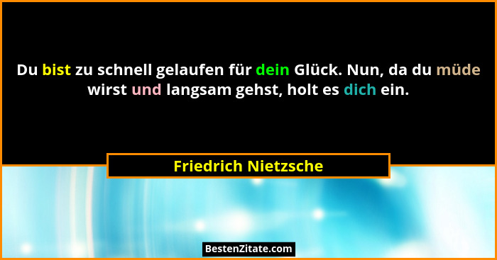 Du bist zu schnell gelaufen für dein Glück. Nun, da du müde wirst und langsam gehst, holt es dich ein.... - Friedrich Nietzsche