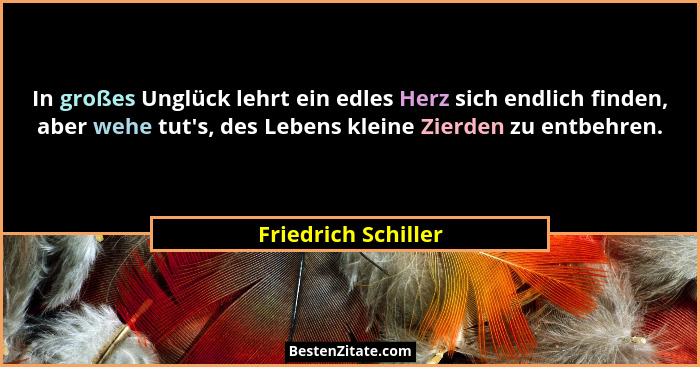 In großes Unglück lehrt ein edles Herz sich endlich finden, aber wehe tut's, des Lebens kleine Zierden zu entbehren.... - Friedrich Schiller