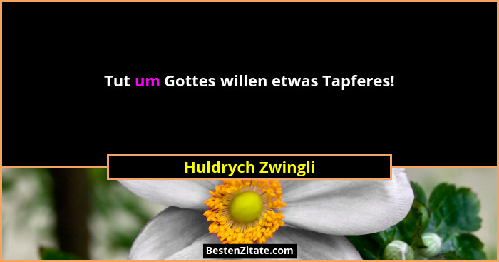 Tut um Gottes willen etwas Tapferes!... - Huldrych Zwingli