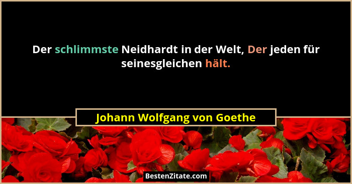Der schlimmste Neidhardt in der Welt, Der jeden für seinesgleichen hält.... - Johann Wolfgang von Goethe