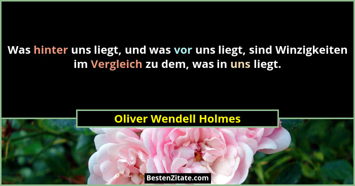 Was hinter uns liegt, und was vor uns liegt, sind Winzigkeiten im Vergleich zu dem, was in uns liegt.... - Oliver Wendell Holmes