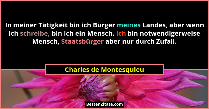 In meiner Tätigkeit bin ich Bürger meines Landes, aber wenn ich schreibe, bin ich ein Mensch. Ich bin notwendigerweise Mensch... - Charles de Montesquieu