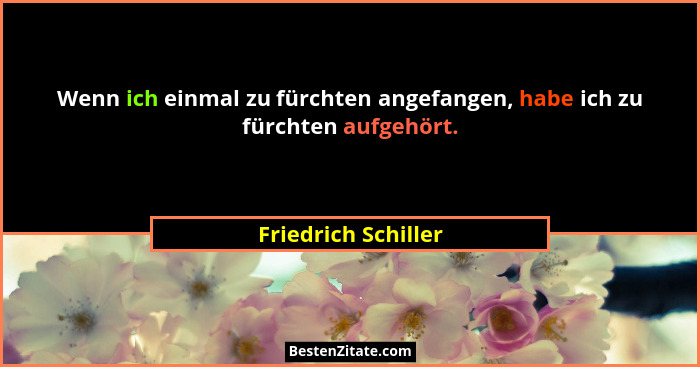 Wenn ich einmal zu fürchten angefangen, habe ich zu fürchten aufgehört.... - Friedrich Schiller