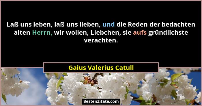 Laß uns leben, laß uns lieben, und die Reden der bedachten alten Herrn, wir wollen, Liebchen, sie aufs gründlichste verachten.... - Gaius Valerius Catull