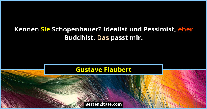 Kennen Sie Schopenhauer? Idealist und Pessimist, eher Buddhist. Das passt mir.... - Gustave Flaubert
