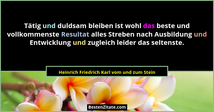 Tätig und duldsam bleiben ist wohl das beste und vollkommenste Resultat alles Streben nach Ausbildung und... - Heinrich Friedrich Karl vom und zum Stein