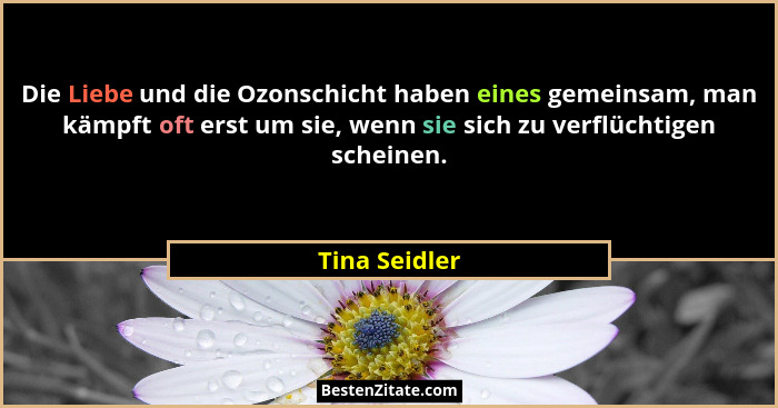 Die Liebe und die Ozonschicht haben eines gemeinsam, man kämpft oft erst um sie, wenn sie sich zu verflüchtigen scheinen.... - Tina Seidler