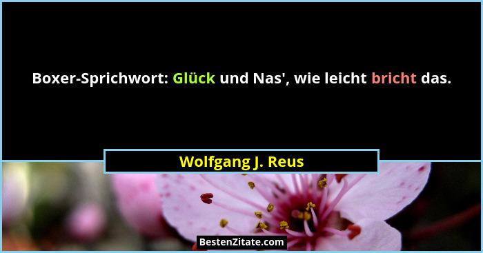 Boxer-Sprichwort: Glück und Nas', wie leicht bricht das.... - Wolfgang J. Reus