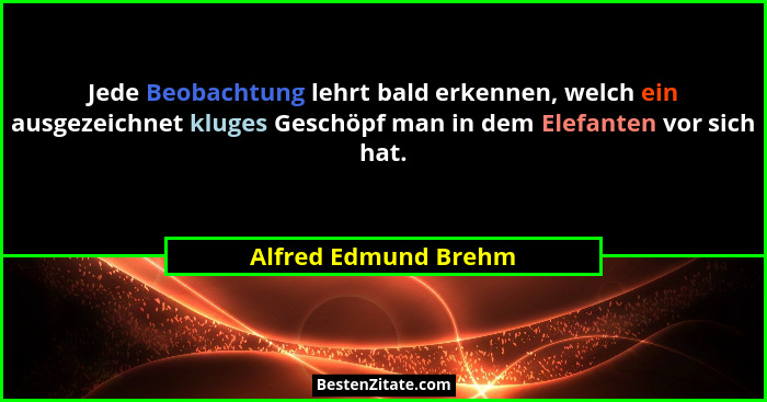 Jede Beobachtung lehrt bald erkennen, welch ein ausgezeichnet kluges Geschöpf man in dem Elefanten vor sich hat.... - Alfred Edmund Brehm