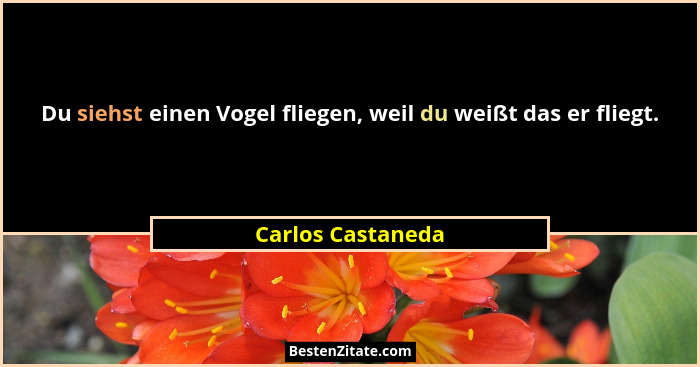 Du siehst einen Vogel fliegen, weil du weißt das er fliegt.... - Carlos Castaneda