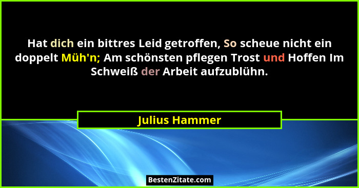 Hat dich ein bittres Leid getroffen, So scheue nicht ein doppelt Müh'n; Am schönsten pflegen Trost und Hoffen Im Schweiß der Arbei... - Julius Hammer
