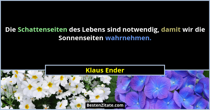 Die Schattenseiten des Lebens sind notwendig, damit wir die Sonnenseiten wahrnehmen.... - Klaus Ender