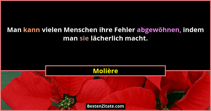 Man kann vielen Menschen ihre Fehler abgewöhnen, indem man sie lächerlich macht.... - Molière