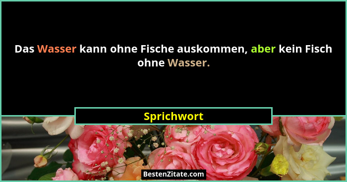 Das Wasser kann ohne Fische auskommen, aber kein Fisch ohne Wasser.... - Sprichwort