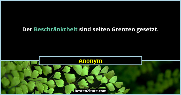 Der Beschränktheit sind selten Grenzen gesetzt.... - Anonym