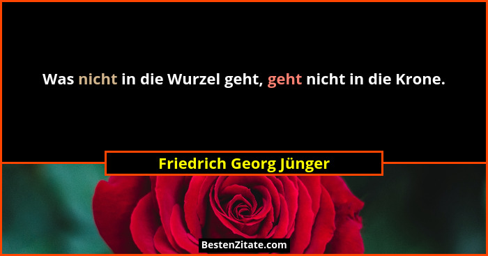 Was nicht in die Wurzel geht, geht nicht in die Krone.... - Friedrich Georg Jünger