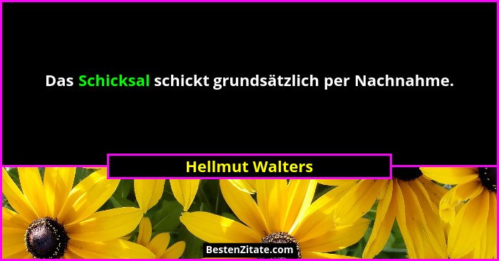 Das Schicksal schickt grundsätzlich per Nachnahme.... - Hellmut Walters