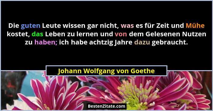 Die guten Leute wissen gar nicht, was es für Zeit und Mühe kostet, das Leben zu lernen und von dem Gelesenen Nutzen zu ha... - Johann Wolfgang von Goethe