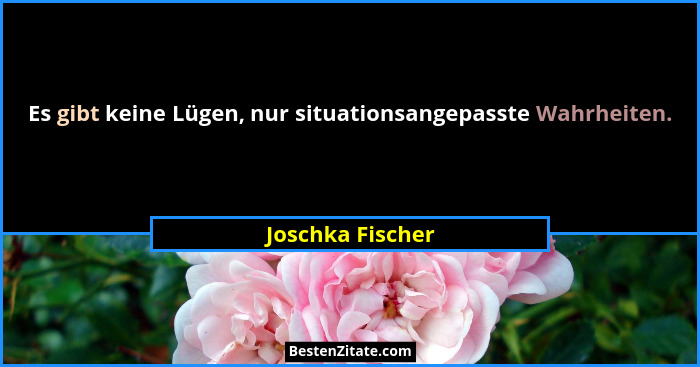 Es gibt keine Lügen, nur situationsangepasste Wahrheiten.... - Joschka Fischer