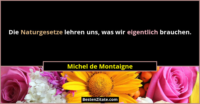 Die Naturgesetze lehren uns, was wir eigentlich brauchen.... - Michel de Montaigne