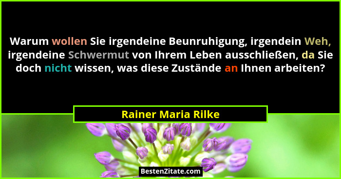 Warum wollen Sie irgendeine Beunruhigung, irgendein Weh, irgendeine Schwermut von Ihrem Leben ausschließen, da Sie doch nicht wis... - Rainer Maria Rilke