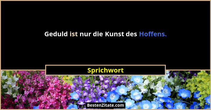Geduld ist nur die Kunst des Hoffens.... - Sprichwort