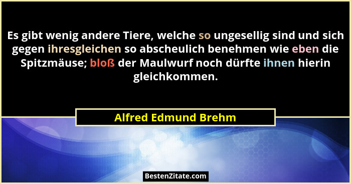 Es gibt wenig andere Tiere, welche so ungesellig sind und sich gegen ihresgleichen so abscheulich benehmen wie eben die Spitzmäu... - Alfred Edmund Brehm