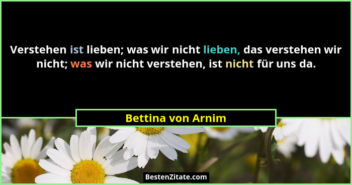 Verstehen ist lieben; was wir nicht lieben, das verstehen wir nicht; was wir nicht verstehen, ist nicht für uns da.... - Bettina von Arnim