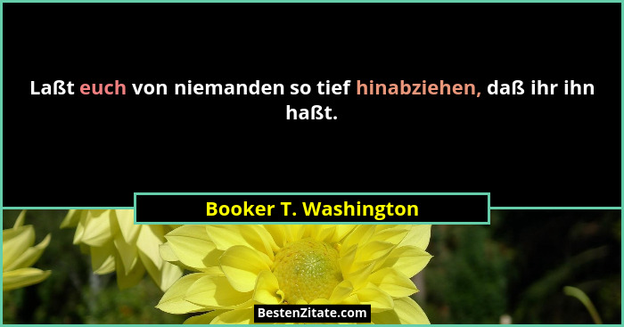 Laßt euch von niemanden so tief hinabziehen, daß ihr ihn haßt.... - Booker T. Washington