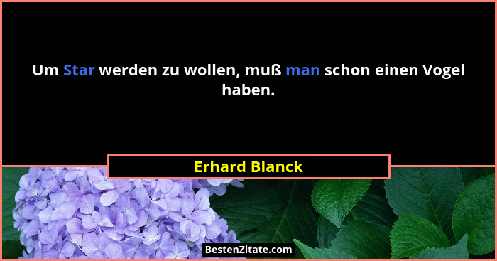Um Star werden zu wollen, muß man schon einen Vogel haben.... - Erhard Blanck
