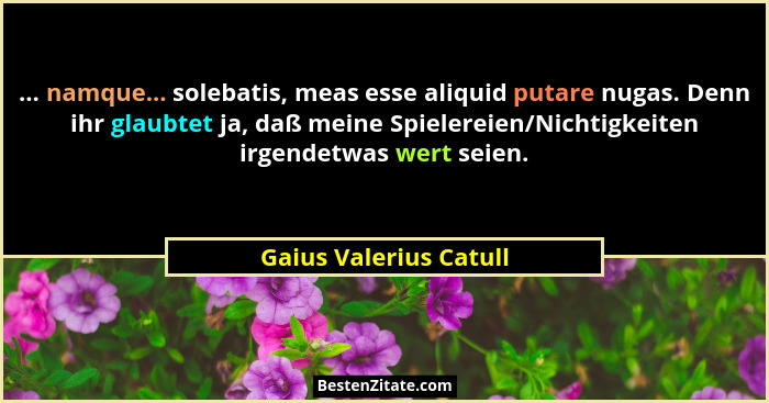 ... namque... solebatis, meas esse aliquid putare nugas. Denn ihr glaubtet ja, daß meine Spielereien/Nichtigkeiten irgendetwas... - Gaius Valerius Catull
