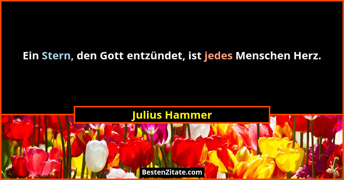 Ein Stern, den Gott entzündet, ist jedes Menschen Herz.... - Julius Hammer