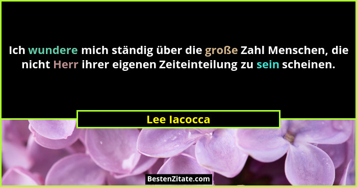 Ich wundere mich ständig über die große Zahl Menschen, die nicht Herr ihrer eigenen Zeiteinteilung zu sein scheinen.... - Lee Iacocca