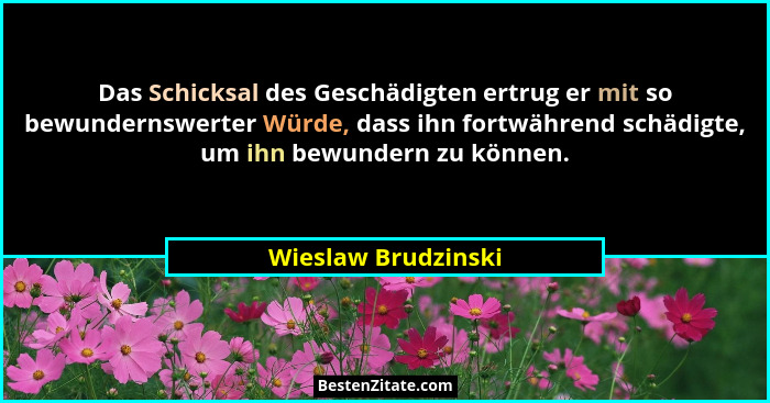 Das Schicksal des Geschädigten ertrug er mit so bewundernswerter Würde, dass ihn fortwährend schädigte, um ihn bewundern zu könne... - Wieslaw Brudzinski