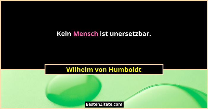 Kein Mensch ist unersetzbar.... - Wilhelm von Humboldt