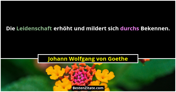 Die Leidenschaft erhöht und mildert sich durchs Bekennen.... - Johann Wolfgang von Goethe