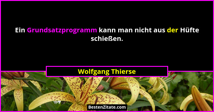Ein Grundsatzprogramm kann man nicht aus der Hüfte schießen.... - Wolfgang Thierse