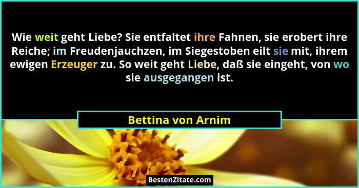 Wie weit geht Liebe? Sie entfaltet ihre Fahnen, sie erobert ihre Reiche; im Freudenjauchzen, im Siegestoben eilt sie mit, ihrem ew... - Bettina von Arnim