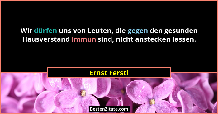Wir dürfen uns von Leuten, die gegen den gesunden Hausverstand immun sind, nicht anstecken lassen.... - Ernst Ferstl