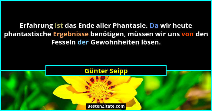 Erfahrung ist das Ende aller Phantasie. Da wir heute phantastische Ergebnisse benötigen, müssen wir uns von den Fesseln der Gewohnheite... - Günter Seipp