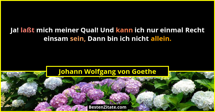 Ja! laßt mich meiner Qual! Und kann ich nur einmal Recht einsam sein, Dann bin ich nicht allein.... - Johann Wolfgang von Goethe