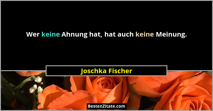 Wer keine Ahnung hat, hat auch keine Meinung.... - Joschka Fischer