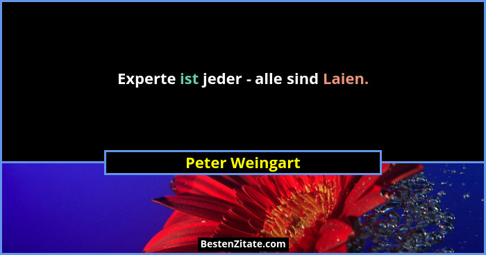 Experte ist jeder - alle sind Laien.... - Peter Weingart
